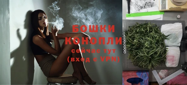 шишки Протвино