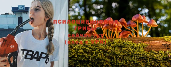 бошки Приозерск