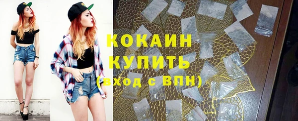 шишки Протвино