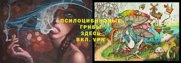 шишки Протвино
