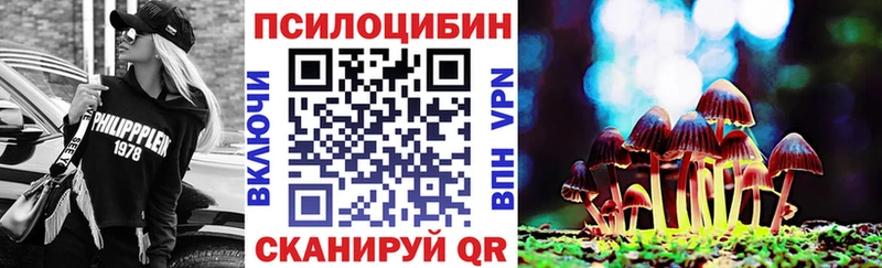 купить   Северобайкальск  KRAKEN онион  Галлюциногенные грибы MAGIC MUSHROOMS 