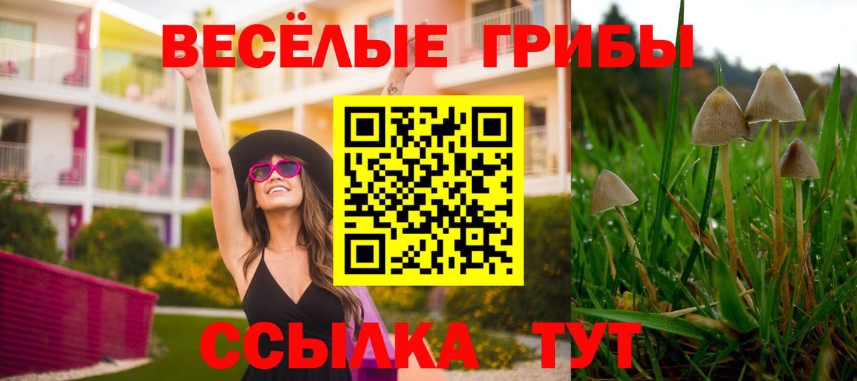 Северобайкальск  где можно купить наркотик  Вход с VPN  Галлюциногенные грибы прущие грибы  Галлюциногенные грибы мухоморы 